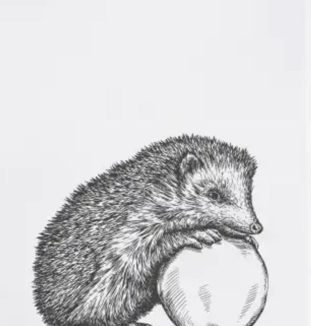 WhatsApp Image 2025-10-22 at 01.03.09