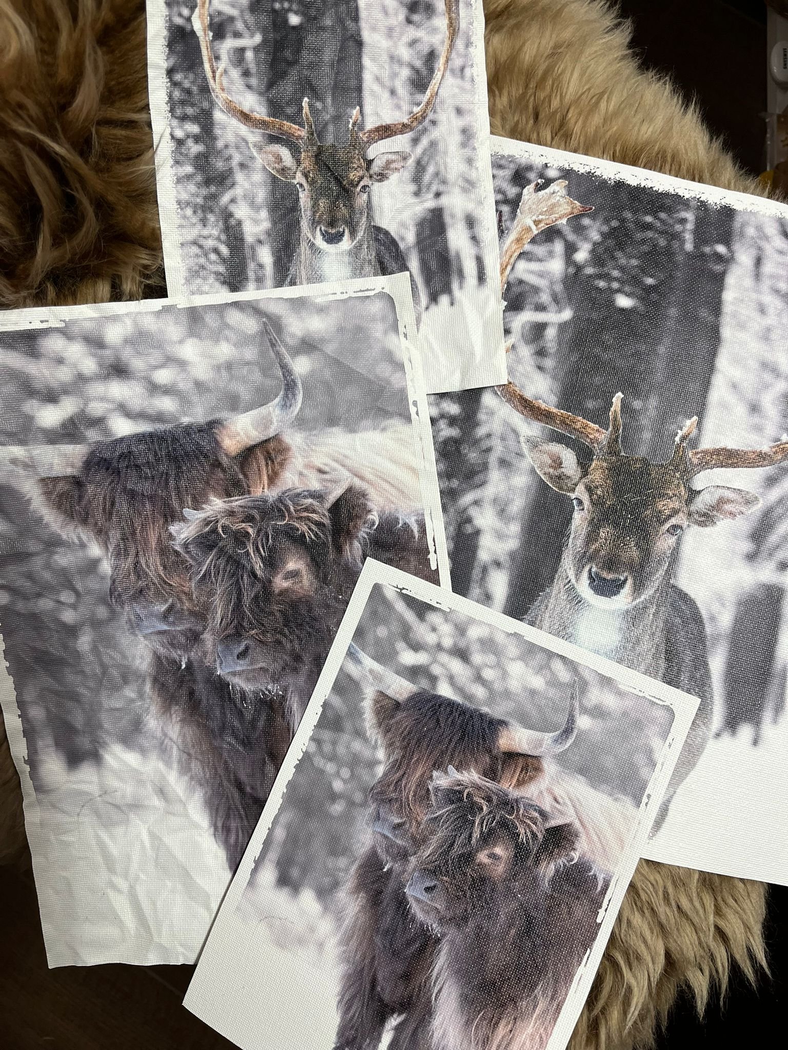 WhatsApp Image 2025-10-22 at 01.03.20 (1)