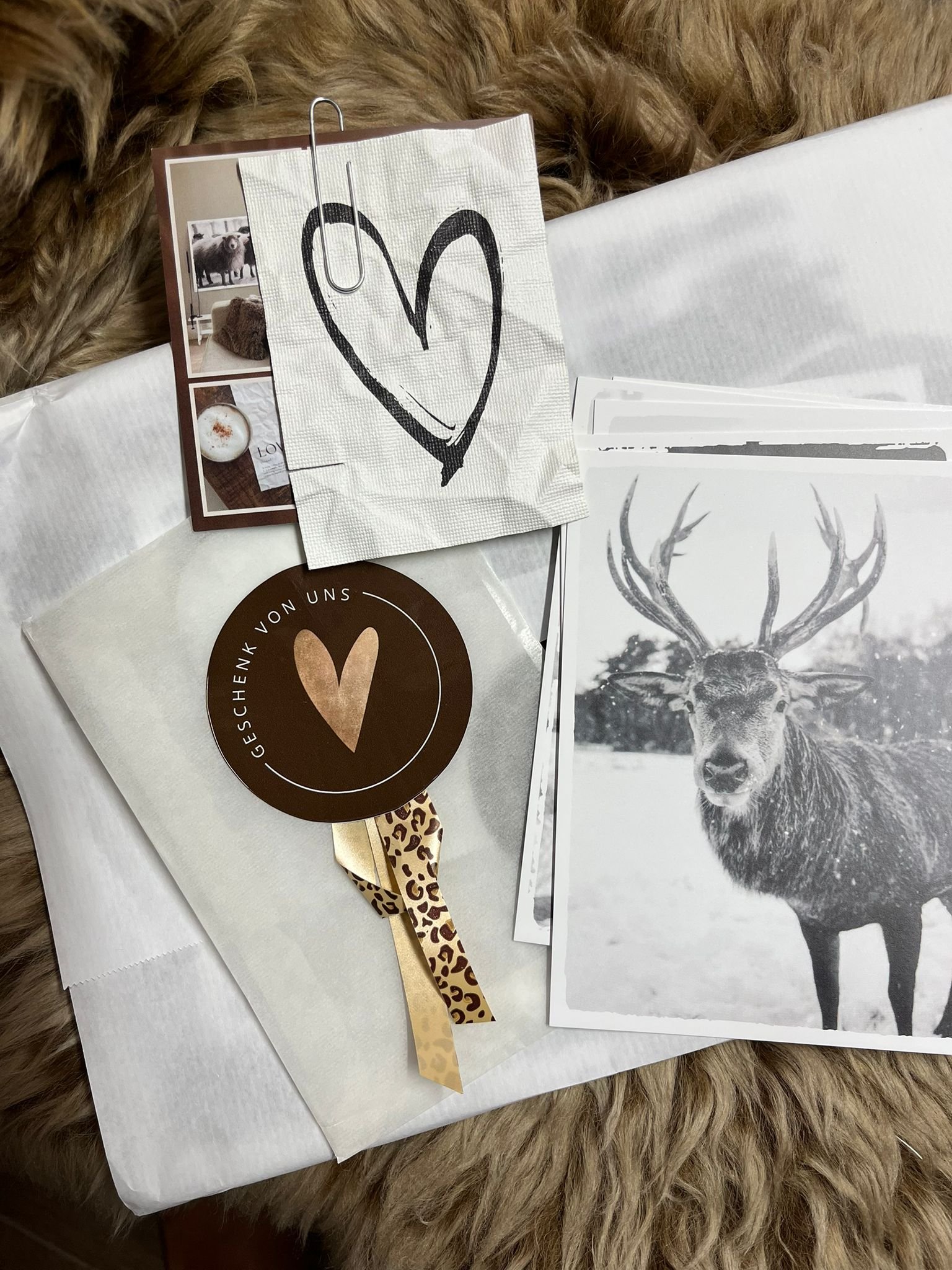 WhatsApp Image 2025-10-22 at 01.03.21